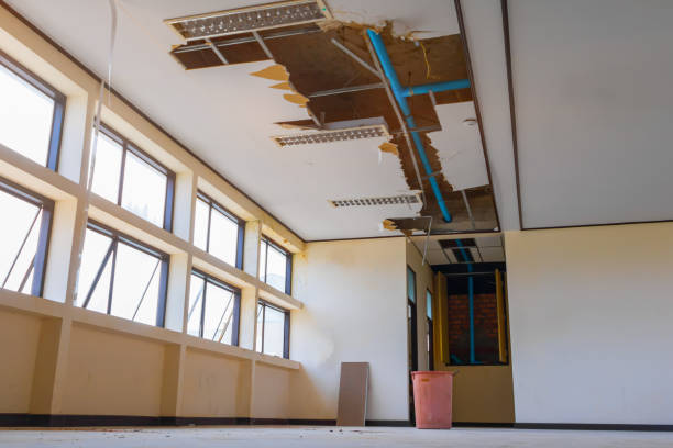 Best Sewage cleanup and water damage restoration  in Shpee Neck, MA
