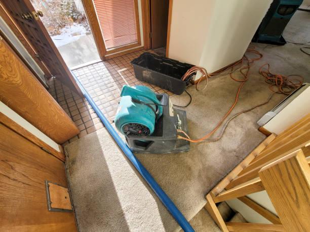 Best Flooded house restoration  in Shpee Neck, MA