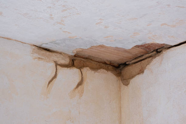 Best Flood damage cleanup  in Shpee Neck, MA