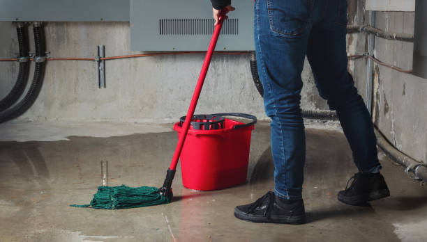Best Water damage restoration experts  in Shpee Neck, MA