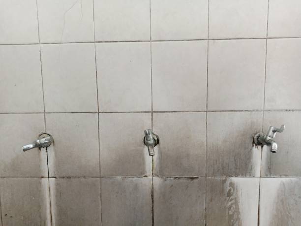 Best Water damage restoration services  in Shpee Neck, MA