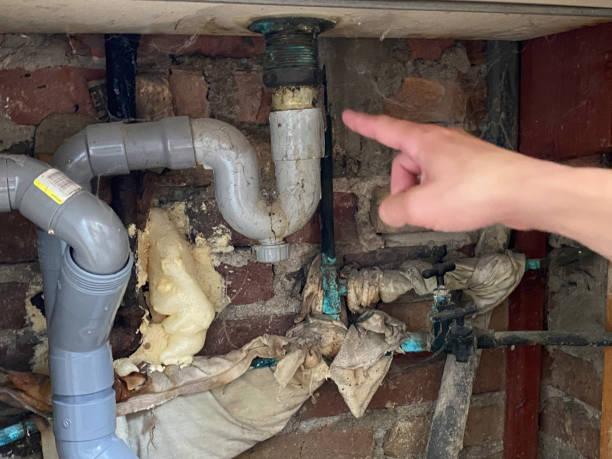 Best Mold removal after water damage  in Shpee Neck, MA